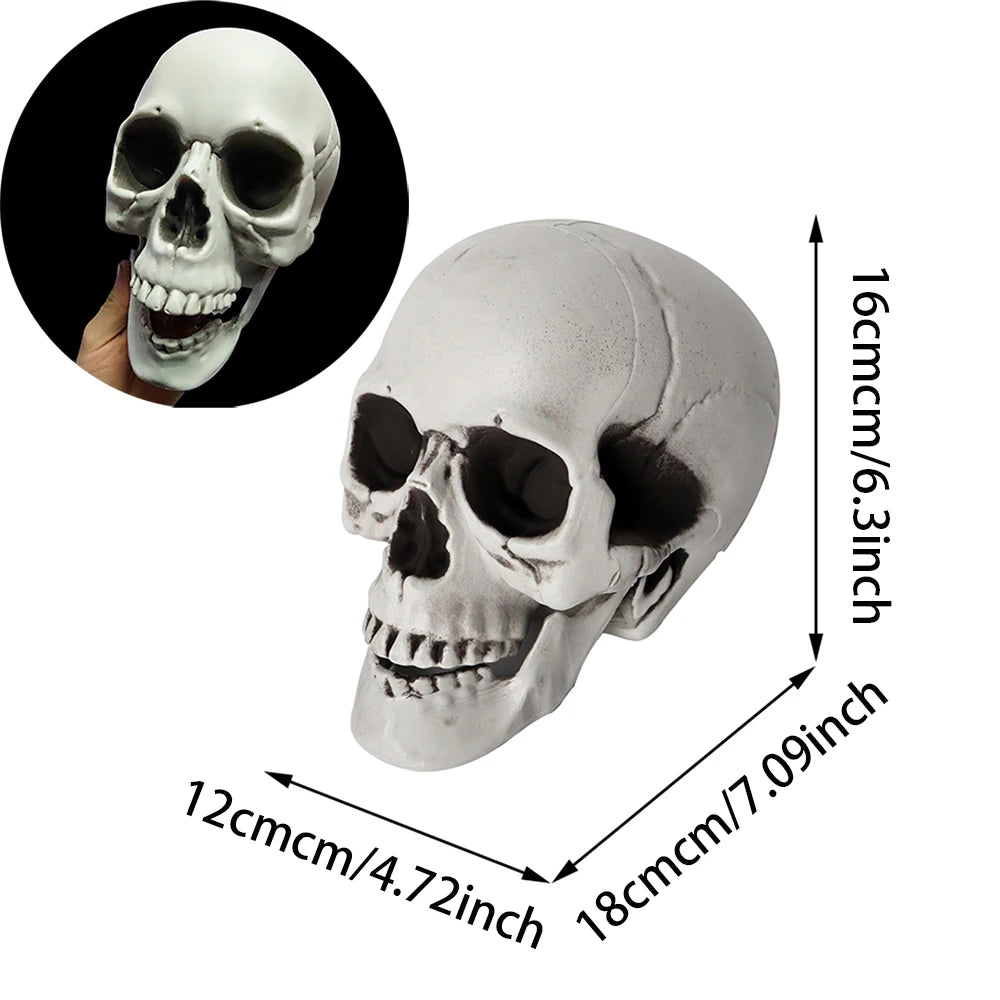 Festive Halloween Skull Decoration Realistic