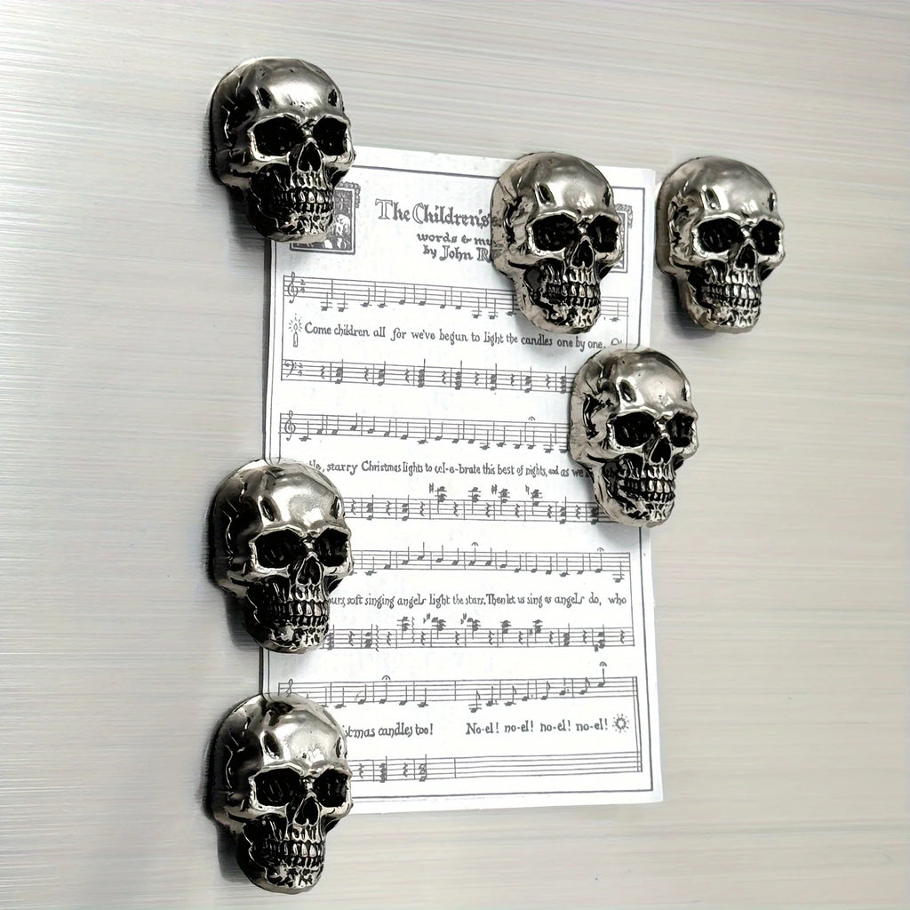 6Pcs Gothic Skull Stainless Steel Refrigerator Magnets