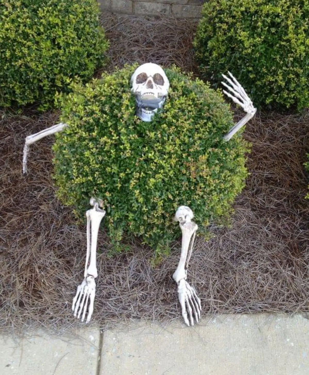 Spooky Halloween Decor Skeleton Stakes Realistic